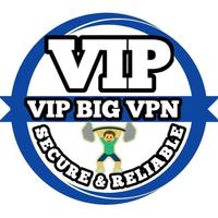 VIP BIG VPN icon