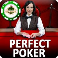 Perfect Poker icon