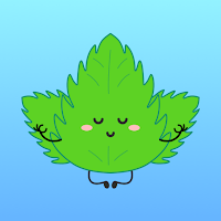 Mint VPN icon