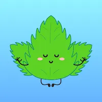 Mint VPN APK