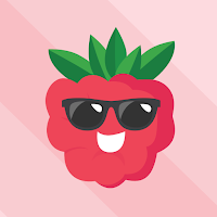 raspberry VPN APK