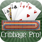 Cribbage Proicon