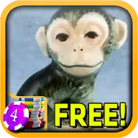 Glossy Monkey Slots - Free APK