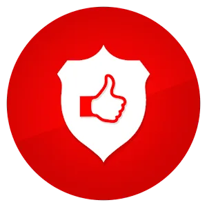 وی پی ان لایک | VPNLike icon