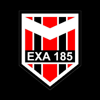 EXA 185icon