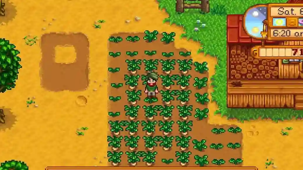 Innovative Stardew Valley Farming Technique: Skip Watering and Sprinklers!