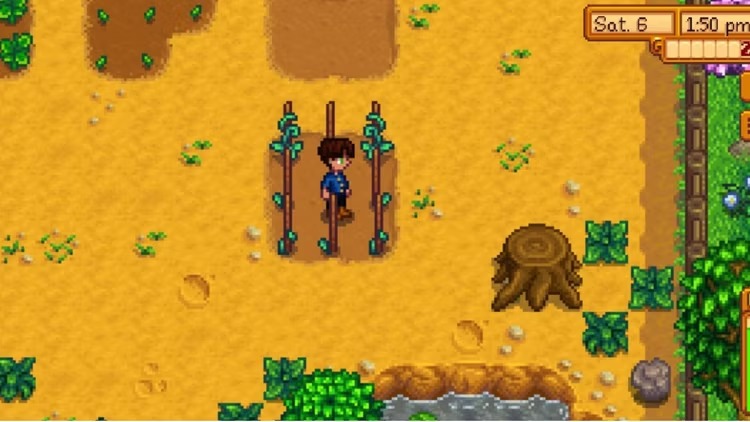 Stardew Valley: Top Spring Crops for Maximum Profit