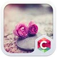 Pink Roses Theme C Launcher icon