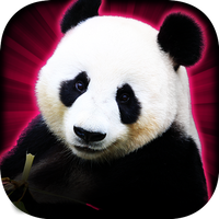 Slots Lucky Panda Casino Slots icon