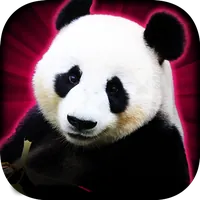 Slots Lucky Panda Casino Slots APK