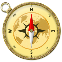 Compass Live icon