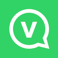 Video VPN icon