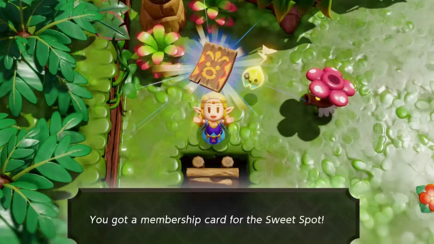 The Legend of Zelda: Echoes of Wisdom - How to Obtain the Membership Card