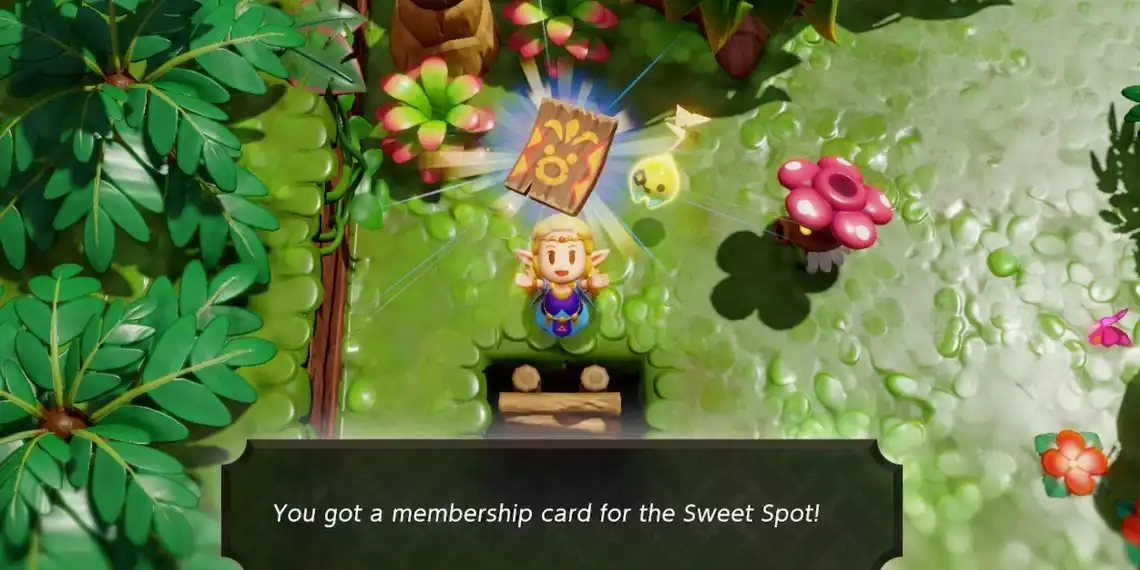 The Legend of Zelda: Echoes of Wisdom - How to Obtain the Membership Card