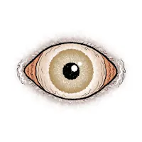 PrCyclope icon
