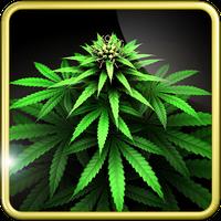 My Ganja Plant Live Wallpaper icon