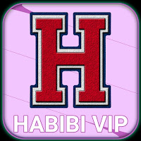 HABIBI VPN icon