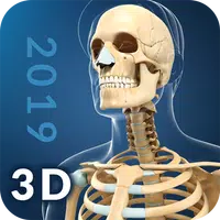 My Skeleton Anatomy icon