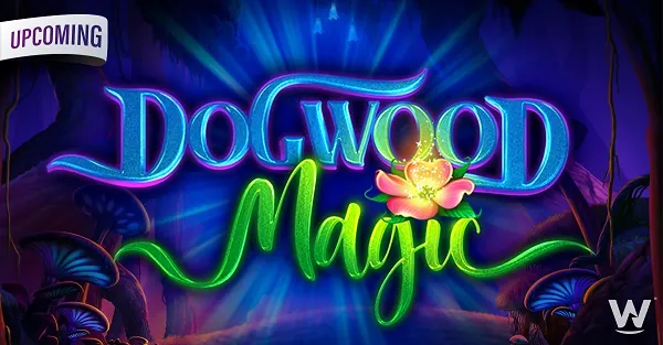 Magic Slot Games topic