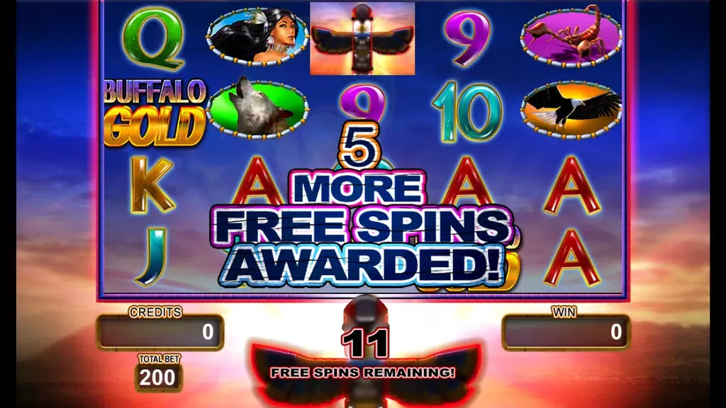 How To Play Buffalo Casino Game