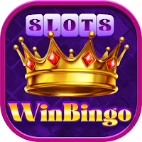 WinBinGo icon