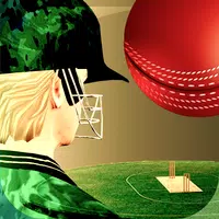 Cricket Fly x Gamifly APK