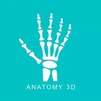 Anatomy 3D icon