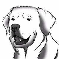 How to Draw Dogs APK