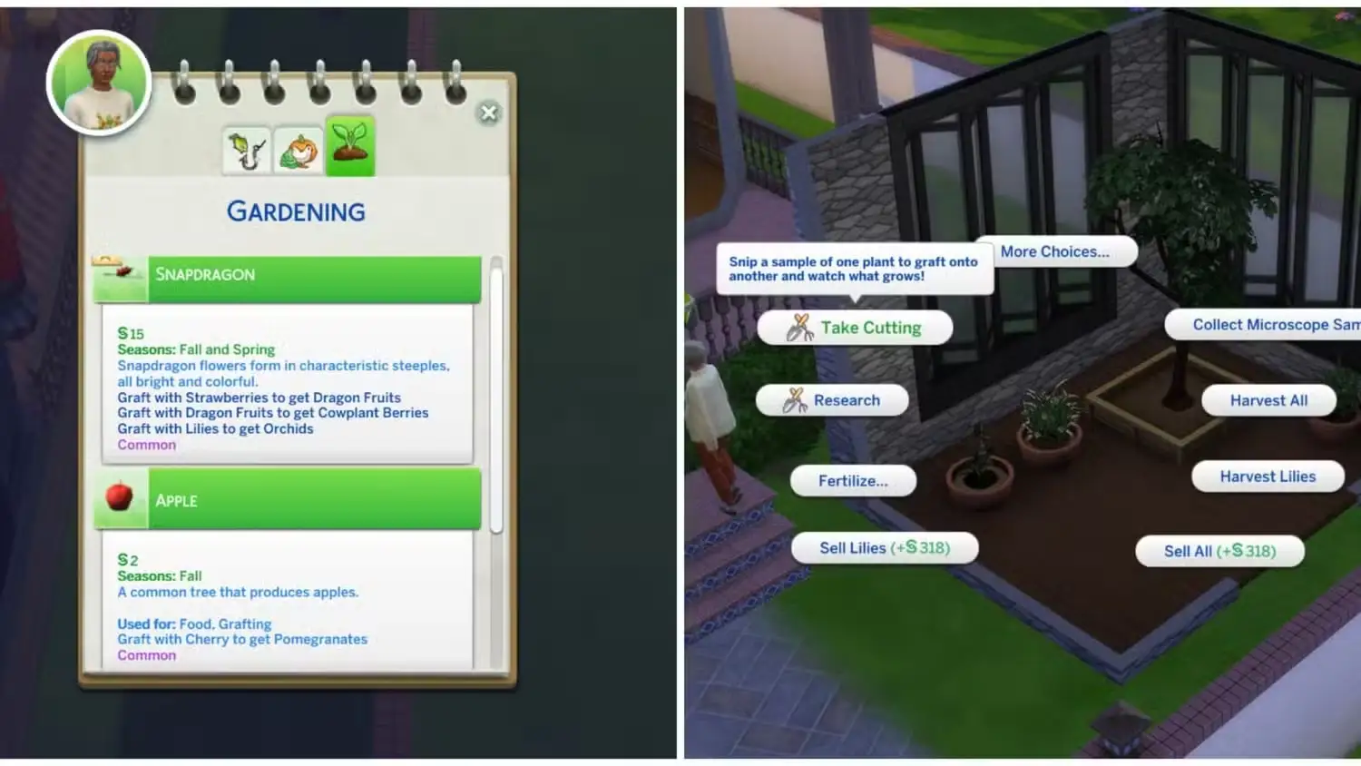 The Sims 4: How to Obtain Orchids