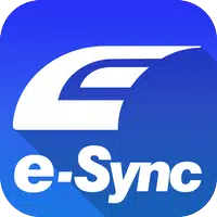 e-SYNC connection icon