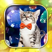 Kitten Slots APK