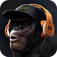 Gorilla Monkey Live Wallpaper icon