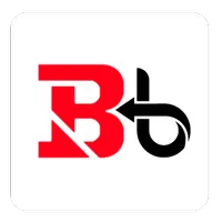 BB NET VPNicon