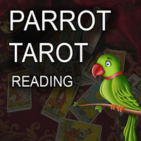 Parrot Tarot card Reading Fortune teller Astrology icon