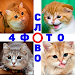 4 Фото 1 Слово. Где логика? APK