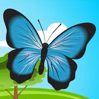 Butterflies icon