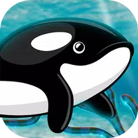 Orca Fish Home Adventure icon