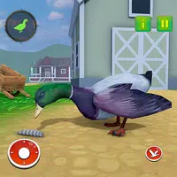 Talking Duck Bird game APK