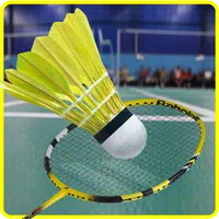 Badminton Star Premier League icon