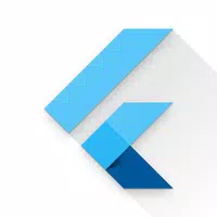 Flutter Playground APK