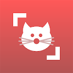 Cat Scanner icon