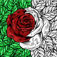 Color by Number: Coloring Book icon