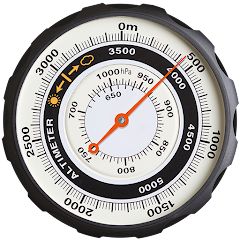 Professional altimeter icon