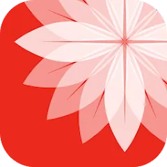 Gallery: Photo Editor, Collage icon
