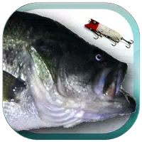 Lure Nushi Fishing APK