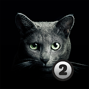 Find a cat 2 APK