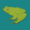 Keep Bufo Alive icon