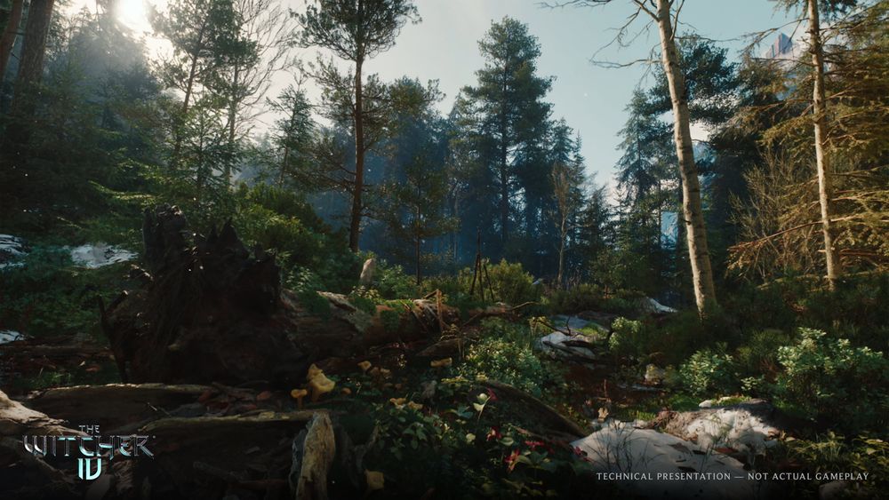 The Witcher IV: Ciri Leads, Unreal Engine 5.6 Powers a 60FPS Open-World Masterpiece