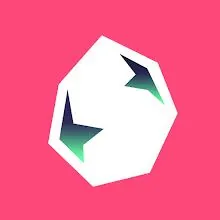SALT icon