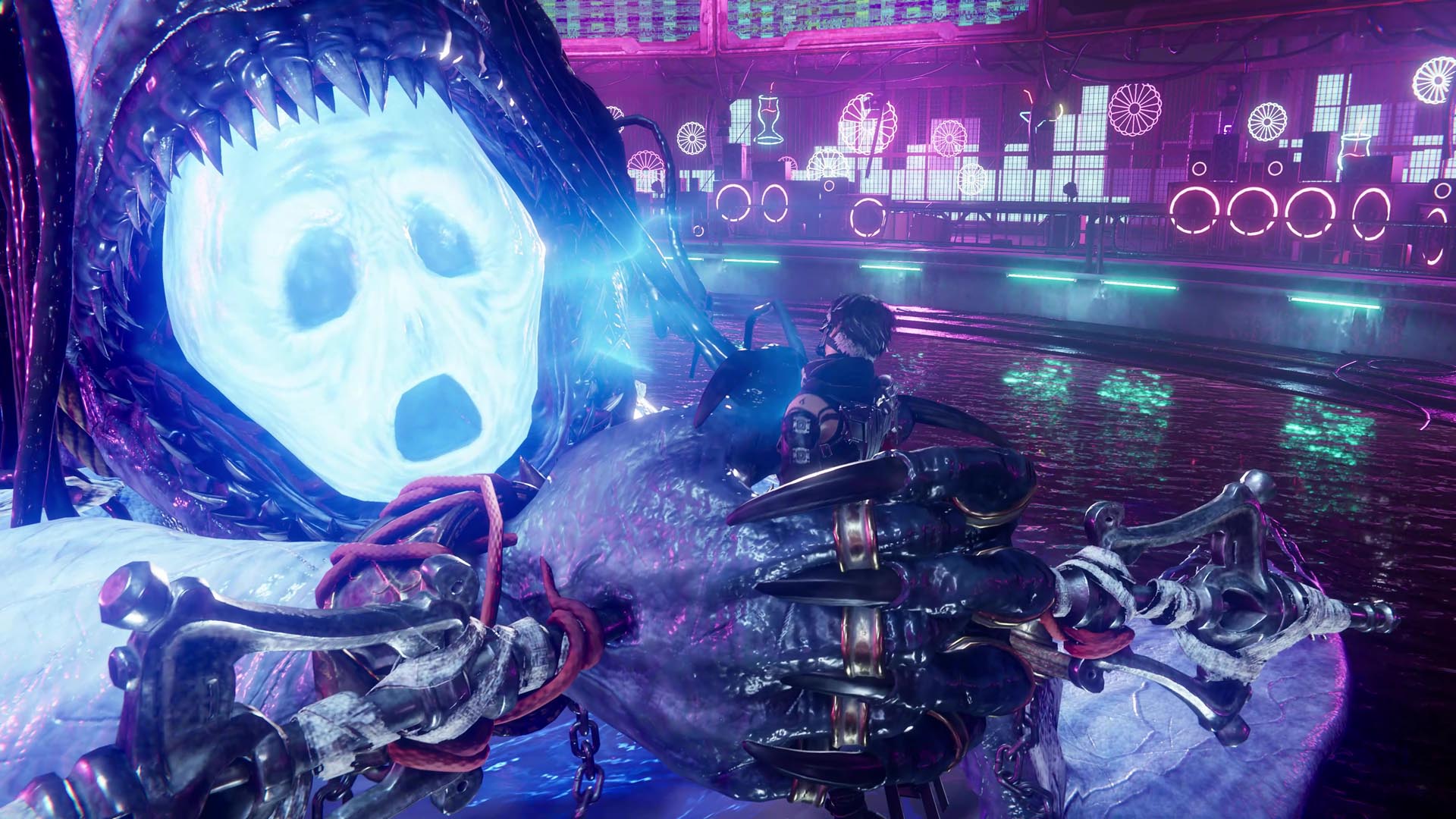 Ninja Gaiden 4 Is Back: Release Date, Trailer, and Bloody New Gameplay Breakdown